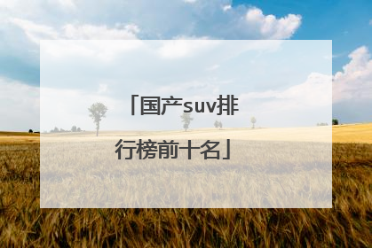 国产suv排行榜前十名
