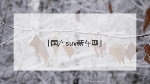 国产suv新车型