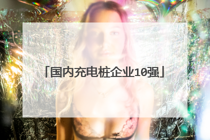国内充电桩企业10强