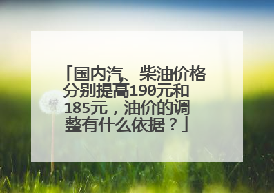 国内汽、柴油价格分别提高190元和185元，油价的调整有什么依据？