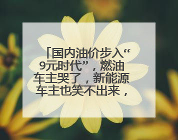 国内油价步入“9元时代”，燃油车主哭了，新能源车主也笑不出来，为什么？