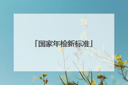 国家年检新标准