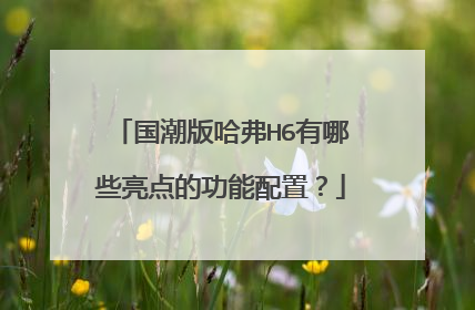 国潮版哈弗H6有哪些亮点的功能配置？