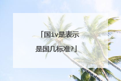 国iv是表示是国几标准?