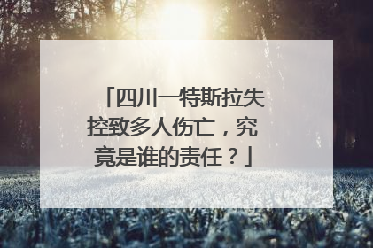 四川一特斯拉失控致多人伤亡，究竟是谁的责任？