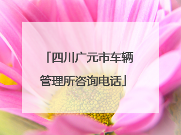 四川广元市车辆管理所咨询电话