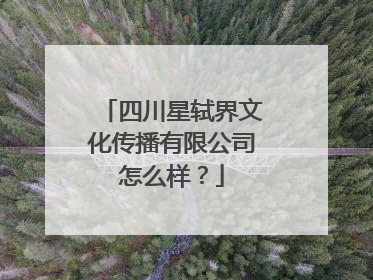 四川星轼界文化传播有限公司怎么样？