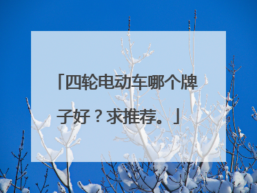 四轮电动车哪个牌子好？求推荐。