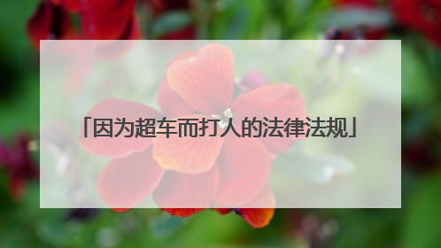 因为超车而打人的法律法规