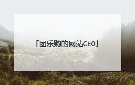 团乐购的网站CEO