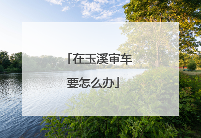 在玉溪审车要怎么办