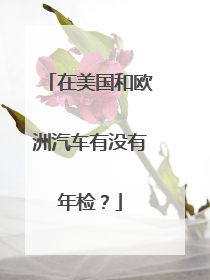 在美国和欧洲汽车有没有年检？
