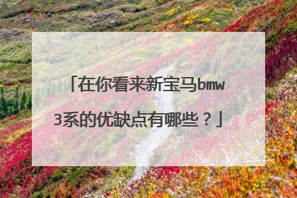 在你看来新宝马bmw3系的优缺点有哪些？
