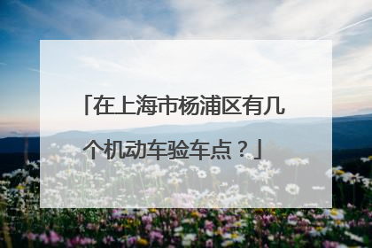 在上海市杨浦区有几个机动车验车点？
