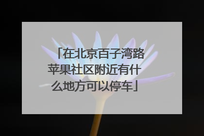 在北京百子湾路苹果社区附近有什么地方可以停车