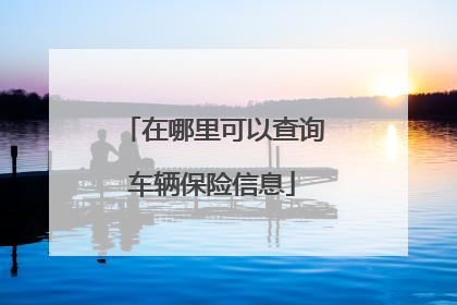 在哪里可以查询车辆保险信息