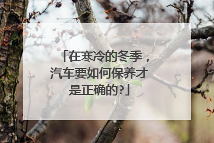 在寒冷的冬季，汽车要如何保养才是正确的?