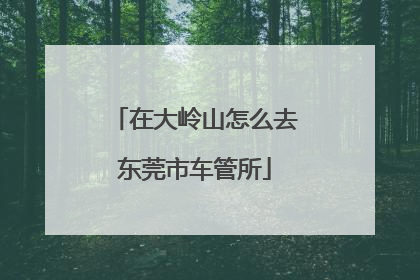 在大岭山怎么去东莞市车管所