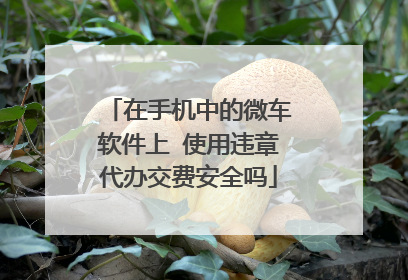 在手机中的微车软件上 使用违章代办交费安全吗