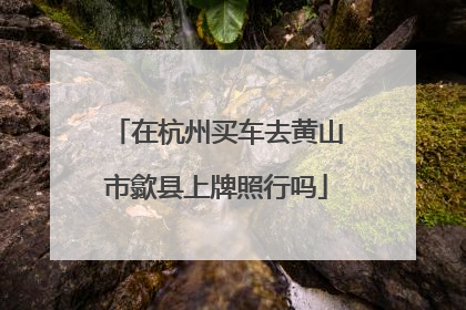 在杭州买车去黄山市歙县上牌照行吗