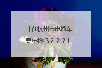 在杭州市电瓶车要年检吗？？？