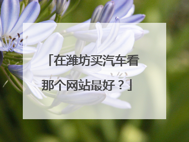 在潍坊买汽车看那个网站最好？