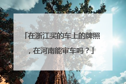 在浙江买的车上的牌照，在河南能审车吗？