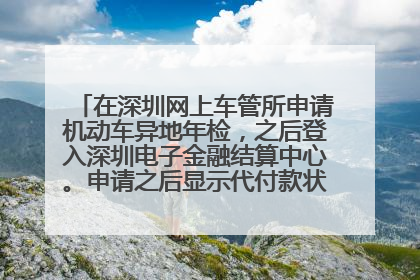 在深圳网上车管所申请机动车异地年检，之后登入深圳电子金融结算中心。申请之后显示代付款状态？我点击付