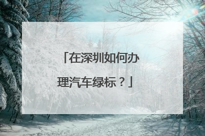 在深圳如何办理汽车绿标？