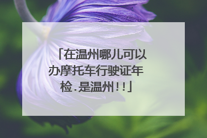 在温州哪儿可以办摩托车行驶证年检.是温州!!
