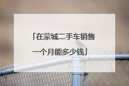 在蒙城二手车销售一个月能多少钱