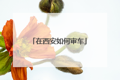在西安如何审车