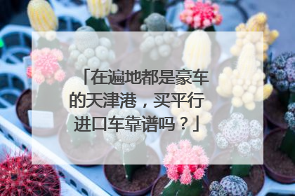 在遍地都是豪车的天津港，买平行进口车靠谱吗？
