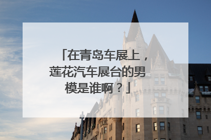 在青岛车展上，莲花汽车展台的男模是谁啊？