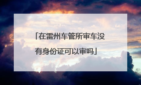 在雷州车管所审车没有身份证可以审吗