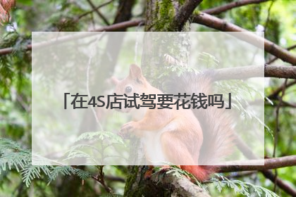 在4S店试驾要花钱吗