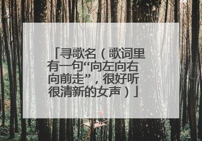 寻歌名（歌词里有一句“向左向右向前走”，很好听很清新的女声）