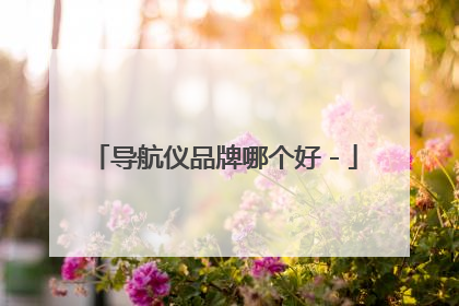 导航仪品牌哪个好－