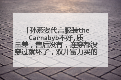 孙燕姿代言服装the Carnabyb不好,质量差，售后没有，连穿都没穿过就坏了，双井富力买的，连换都不行。
