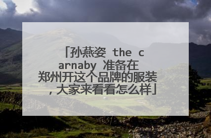 孙燕姿 the carnaby 准备在郑州开这个品牌的服装，大家来看看怎么样
