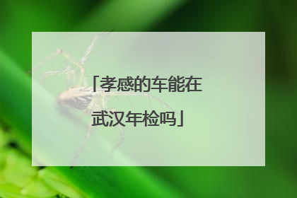 孝感的车能在武汉年检吗