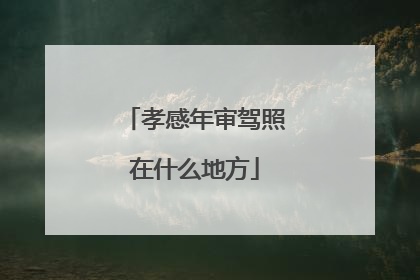 孝感年审驾照在什么地方