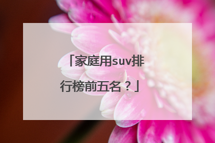 家庭用suv排行榜前五名？