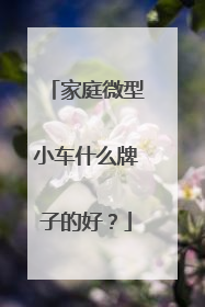 家庭微型小车什么牌子的好？