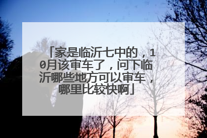 家是临沂七中的，10月该审车了，问下临沂哪些地方可以审车，哪里比较快啊