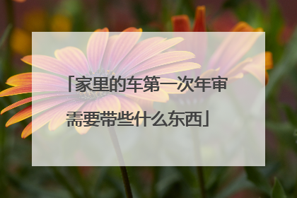 家里的车第一次年审需要带些什么东西
