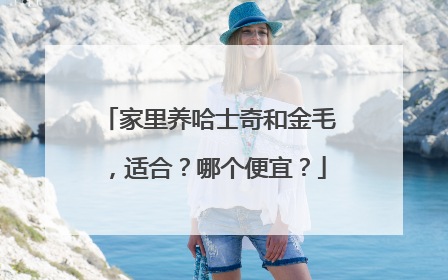 家里养哈士奇和金毛，适合？哪个便宜？