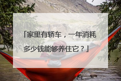 家里有轿车，一年消耗多少钱能够养住它？