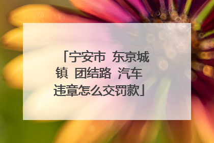 宁安市 东京城镇 团结路 汽车违章怎么交罚款