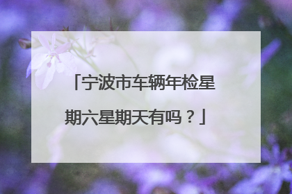 宁波市车辆年检星期六星期天有吗？